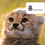 [NCT칠프] 횽 <b>새치기</b>!