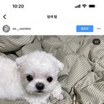아 진짜 <b>재수</b>학원에서 쪽팔려 뒤지겠음