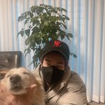 제이크 <b>모자</b> 안에 라따뚜이 키우냐