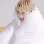 [NCT칠프] 문보싶