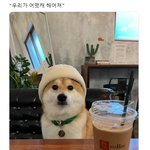 [댓글부탁해] 속눈썹 고데기 써본 사람 있어??