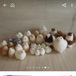 <b>심</b><b>쿵</b>하고 싶은 사람?