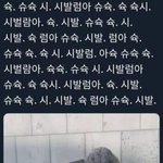 살뺐는데 더 못생겨짐
