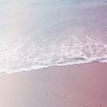 부드럽고 <b>은은</b>한 파스텔 색감들
