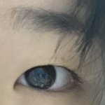 <b>쌍수후</b> 광명찾아ㅛ다