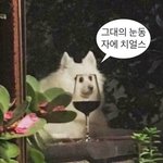 [댓글부탁해] ㅠㅠ얘드라 미용실갈까 말까 추반좀