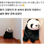 [댓글부탁해] 불<b>합리</b>함을 깨달았는데 바꿀 방법이 없으면 너네는 어떻게...