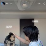 김태형 <b>김연탄</b> 진짜 개미친