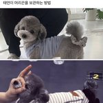 [댓글부탁해] <b>최저</b> 4합5면