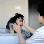 김태형 <b>화나</b> 진짜