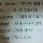 [19] 진짜 판 <b>개노잼</b>