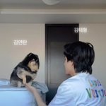 <b>연탄</b>이 성견티가 나네