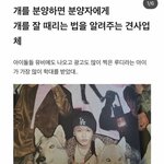 죽기 전까지 패는 방법 가르쳐주는 <b>견사</b> 제보하신 분 찾습니다!!