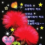 나 오늘 <b>생카</b> 처음가는데 어케해야됨..?