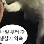 얘 한남이야??