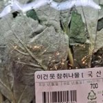 [댓글부탁해] 얘들아급해 추반좀 골라줘