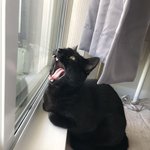 [드루와] 나는 한국 군인한테 안고마운ㄱㅔ 아니라