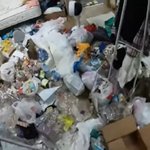 쓰레기집에 사는 여성 '충격 사연'