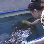 <b>선미</b> 21살에 찍은 목욕장면 몰카