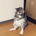 40대 50<b>대초</b> 아저씨들이 좋은데 어떡함