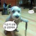 <b>혈육</b>들 친구많아서 상대적으로 내가 너무 찐같음