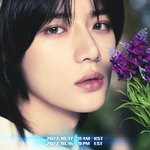 [TXT] 무슨 꽃인지 찾아줄 <b>천재</b>모아 구함