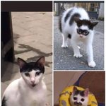 [댓글부탁해] 내전남친 개쓰레기<b>똥</b><b>차남</b>이엇는데