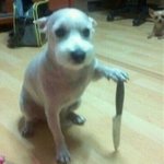 내 안에 돼<b>지근</b>성 없앤다