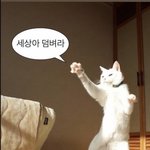 판에서 맞팔하는 이유 먼지앎?