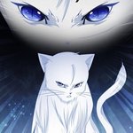 [드루와] 너네 오킹 아냐 <b>극N</b>이라는데