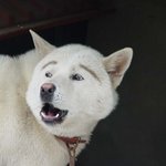 우리엄마 이모가 <b>눈썹</b>틴트 해줬는데