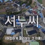 <b>셔누</b>씨 탈영했으면 좋겠다