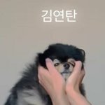 [방탄소년단] 아 귀엽어