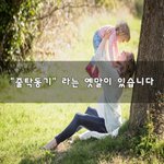 [너가봤으면] "줄탁동기" 라는 옛말이 있습니다~
