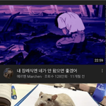 내가 닮았다고 들어본 <b>생물</b>이