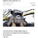 171/52면 어느 정도라고 보냐