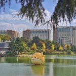 [드루와] <b>미대</b>는 순위 어떻게 됨?