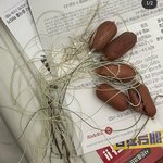 [댓글부탁해] <b>부평</b> 소시지 낚싯줄