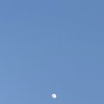 어좁 키작은데 코트 어디꺼 <b>사냐</b>