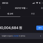 나 한달에 <b>천만</b>원 써본 적 있음