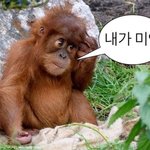 야 나도 턱 뜯었는데 어떠냐 ㅋㅋ(사진주의)