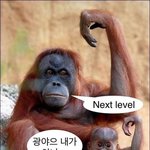 나 춤췄어요 봐숭<b>세요</b>