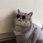 음식 <b>취향</b> 추반 ㄱ ㄱ