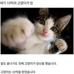 [댓글부탁해] 애들아 내 상상이 많이 더럽냐?