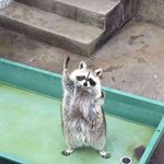 <b>컨디션</b>  으라차차차
