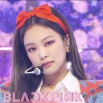 제니 나이 <b>개충</b>격이다