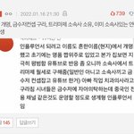 <b>톡</b><b>선</b> 프리지아
