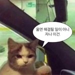 [19] 너네 이런 남자애 어떰