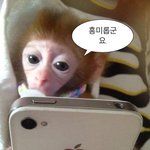 3월까지 5kg 빼기 ㄱㄴ?
