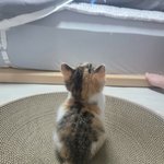 [댓글부탁해] <b>눈</b>화장 좀 봐줘